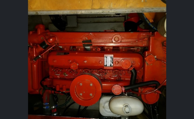 Pinja Muu malli-kuva-5